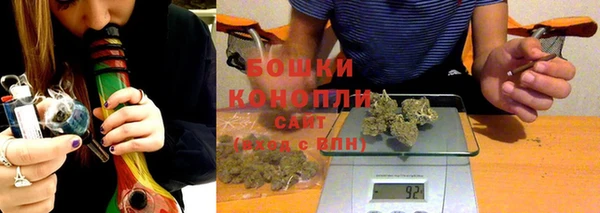 индика Абинск
