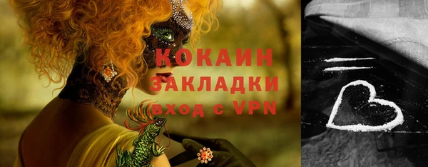 индика Абинск
