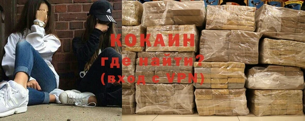 индика Абинск